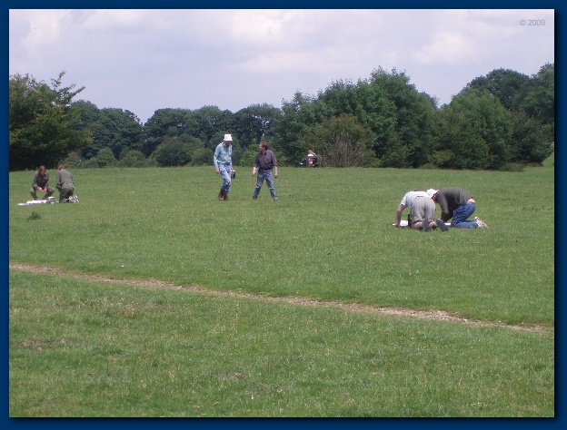 600x449 pixels (134K)